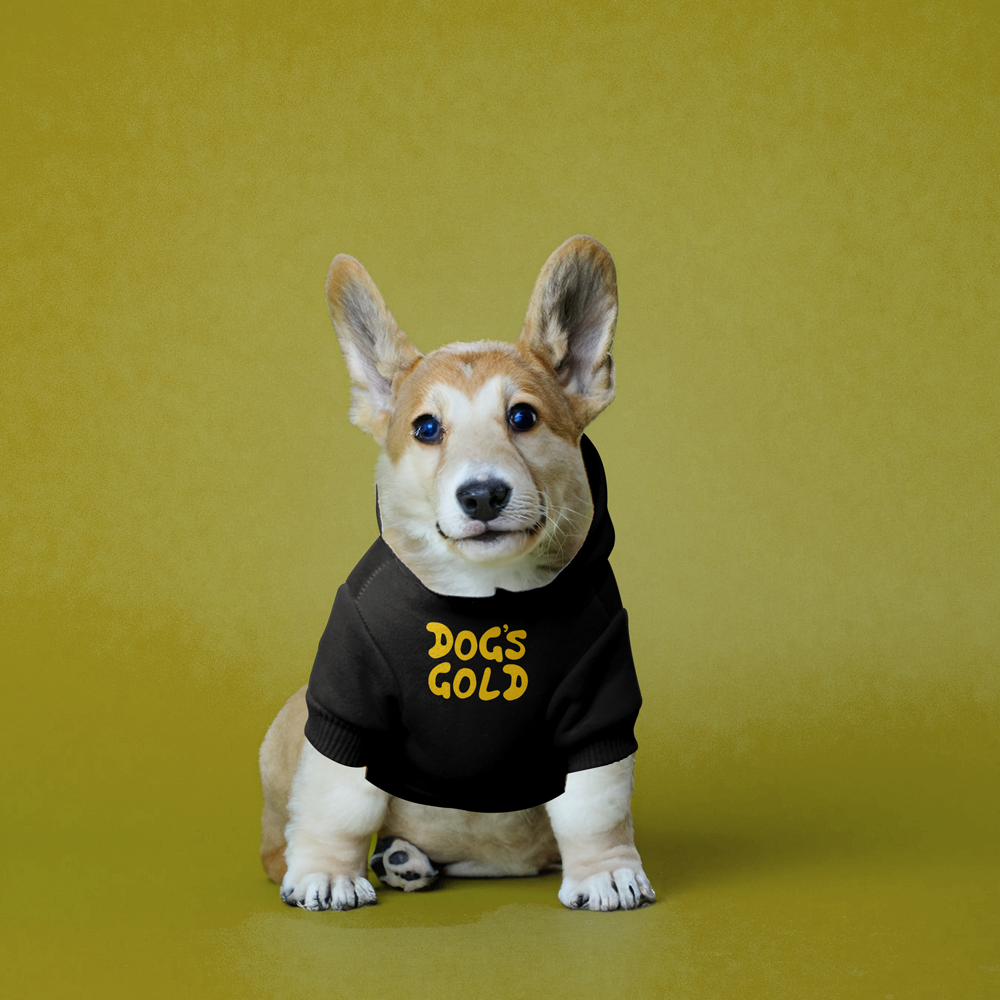 DG Pet Hoodie  DOG'S GOLD